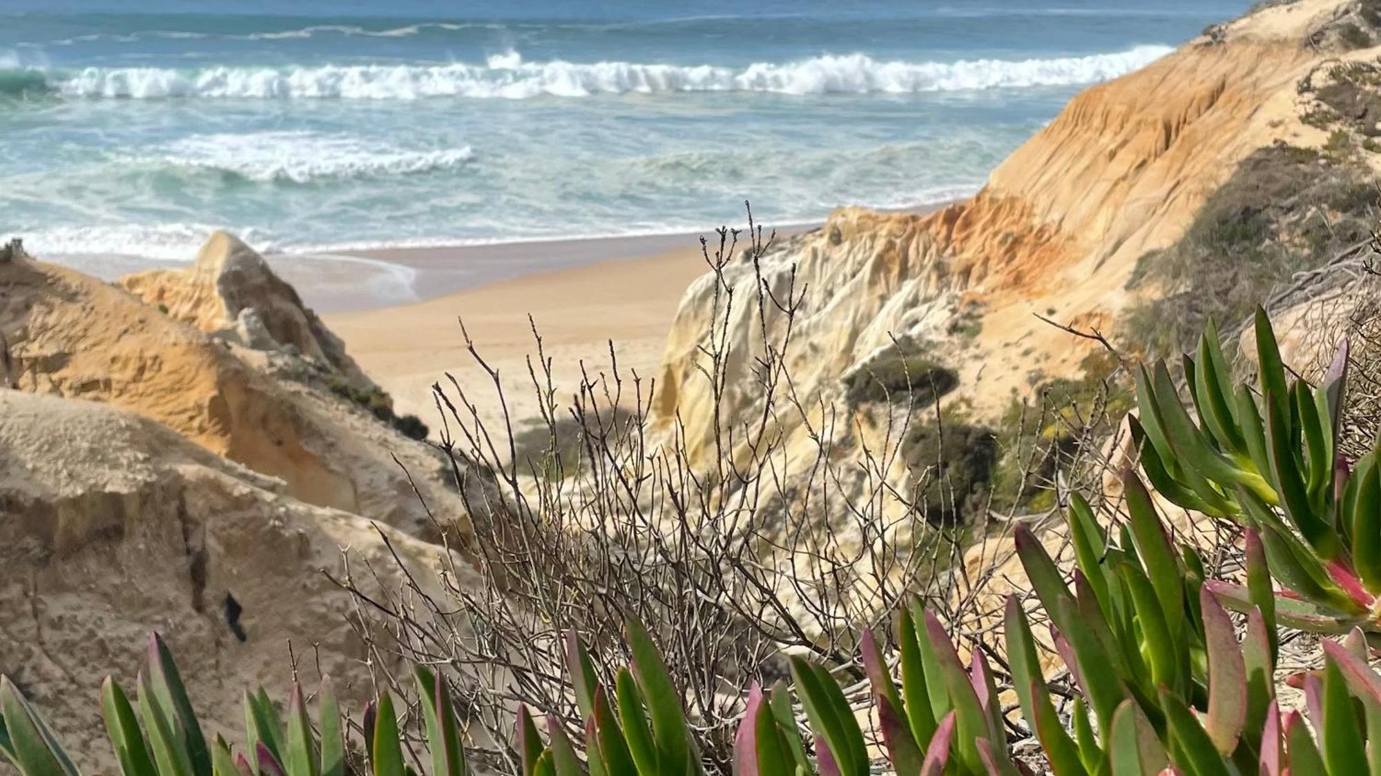 הוילה Azinheira dos Barros Sesmarias Dos Nobres מראה חיצוני תמונה