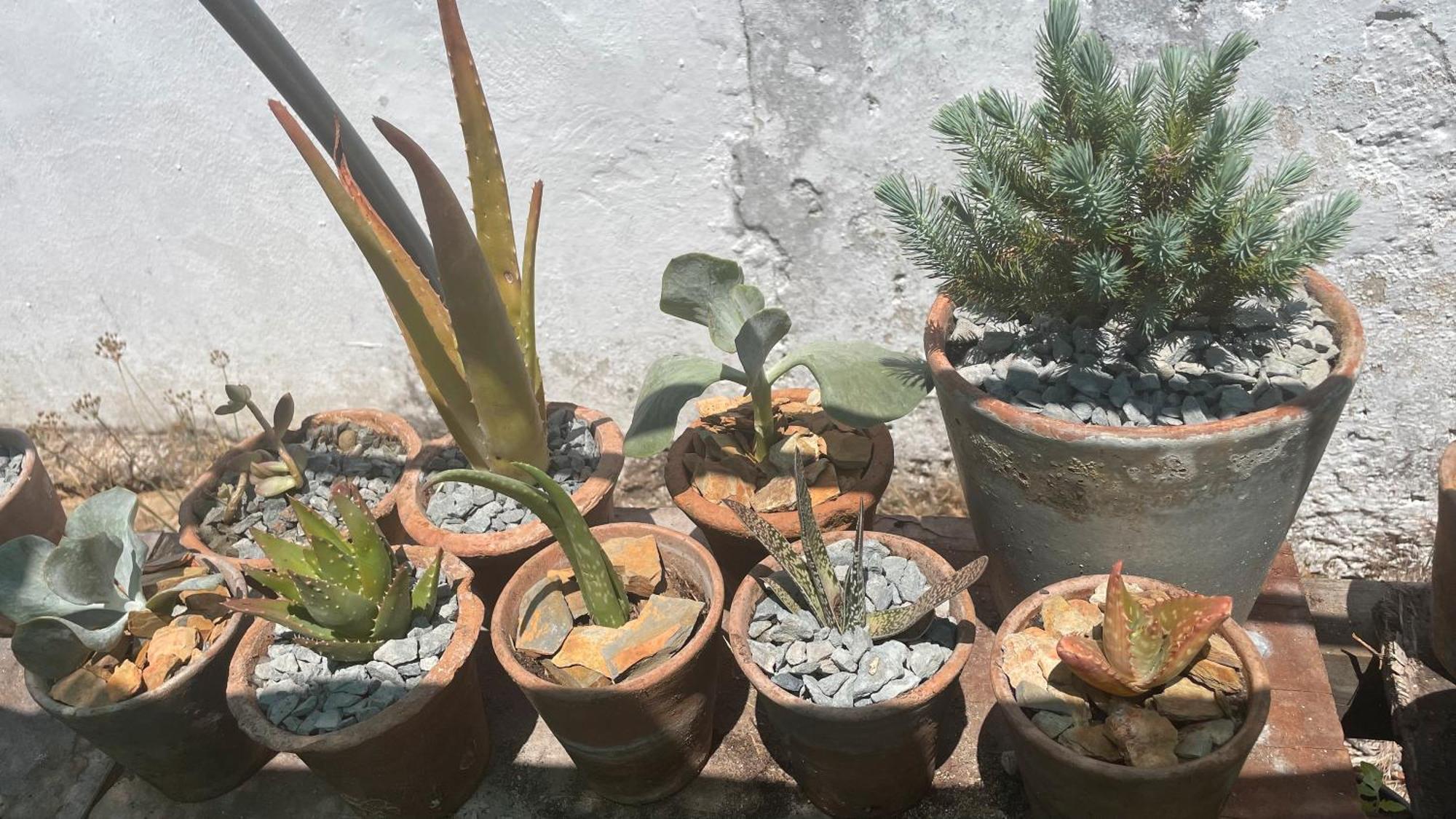 הוילה Azinheira dos Barros Sesmarias Dos Nobres מראה חיצוני תמונה